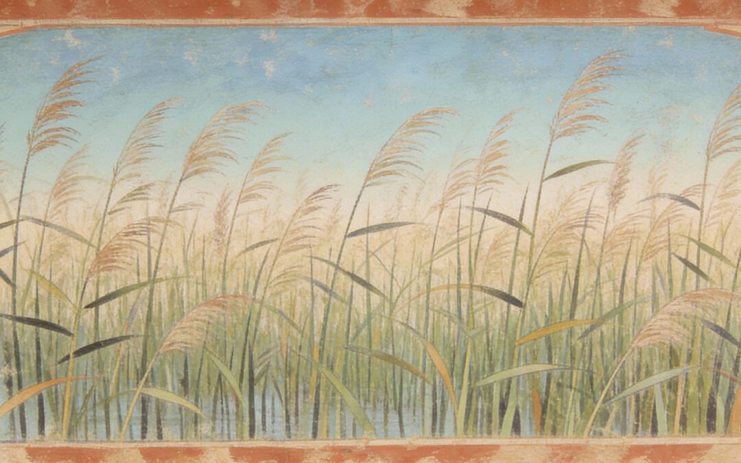 Yoga de l&rsquo;objectivité 1/3 Le Roseau et la Poupée — La Psychologie de l&rsquo;Objectivité